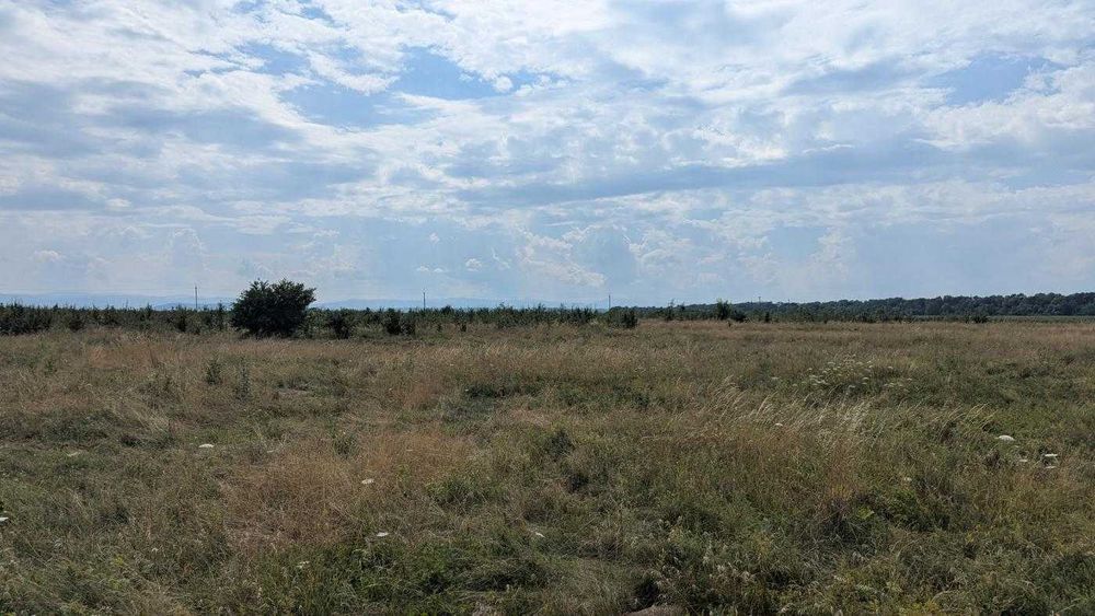 Продається ділянка 25 сот під будову с.Камінне(12)