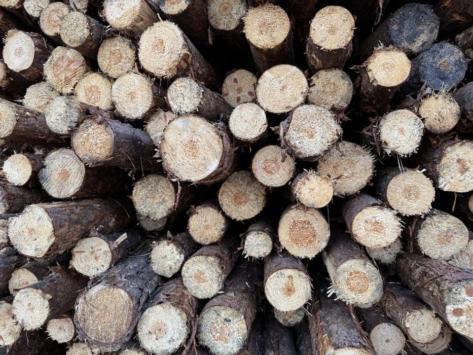 Nowe sosnowe stemple budowlane