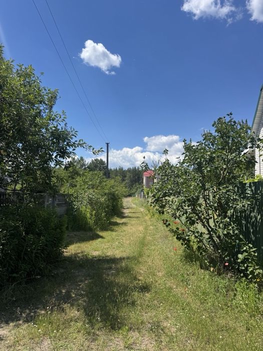 ПРОДАЖ земельної ділянки для ведення садівництва Вишгородський район