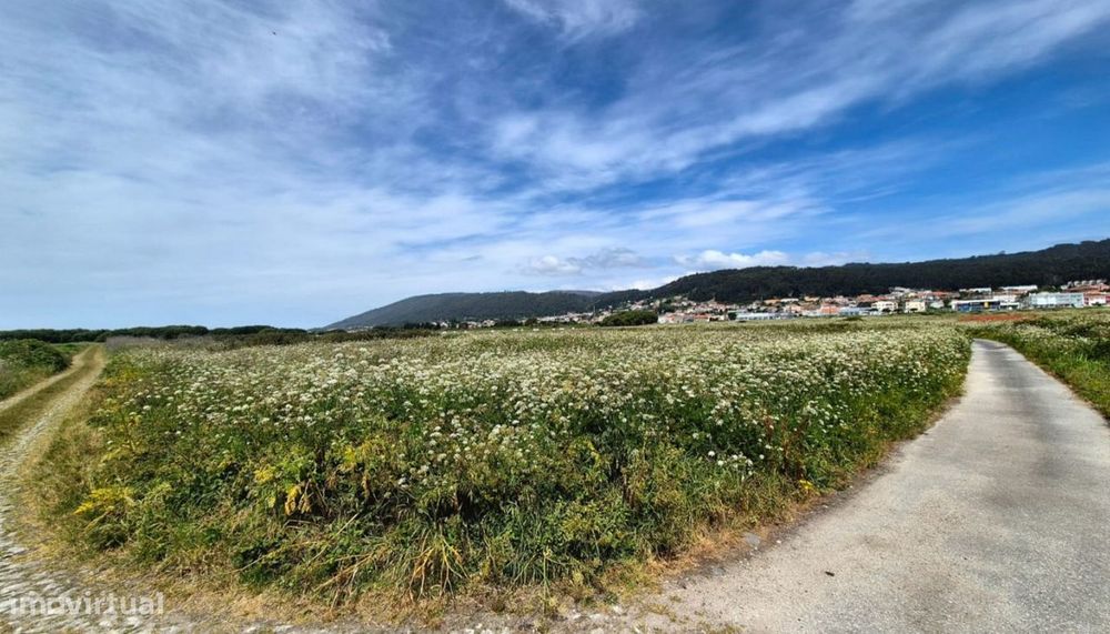 Venda de terreno agrícola c/ 9610m², Areosa, Viana do Castelo