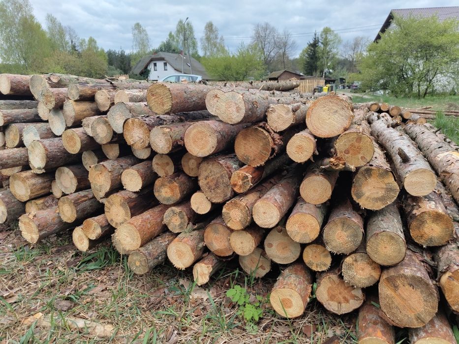 Ogród,Słupki,Słupy,Ogrodzenie