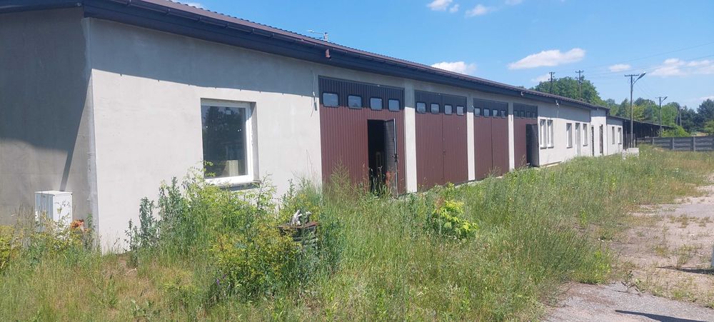 Sprzedam nieruchomość z halami magazynowymi Dąbrowa nad Czarną