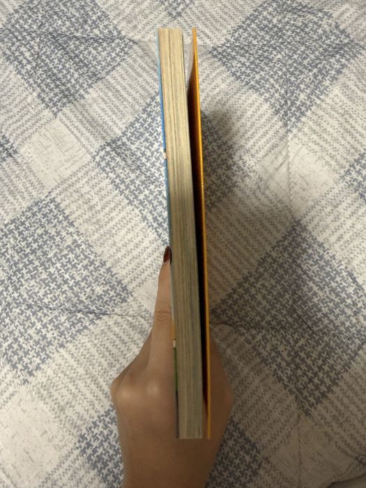 Stilton à procura de casa, Geronimo Stilton n° 84