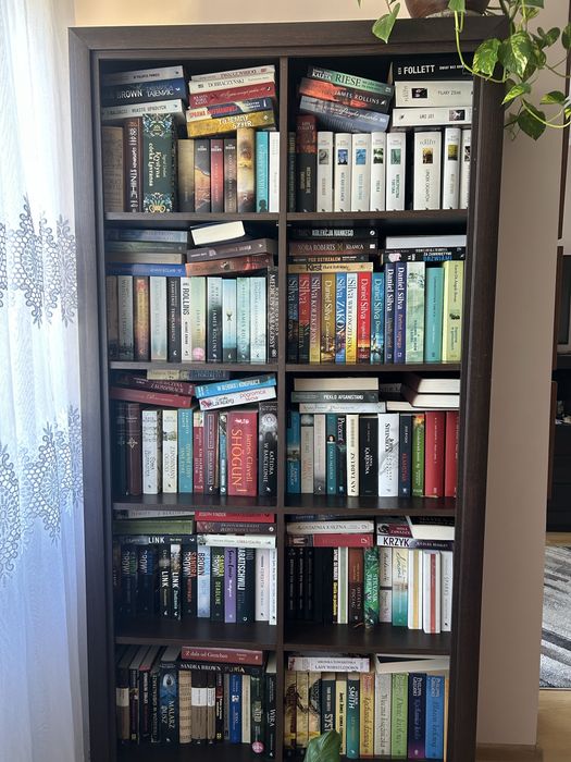 Biblioteczka na książki