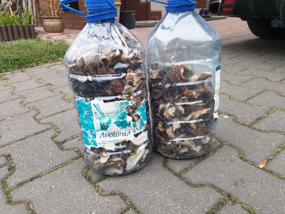Suszone podgrzybki i prawdziwki z 2025, 500g, 0,5kg