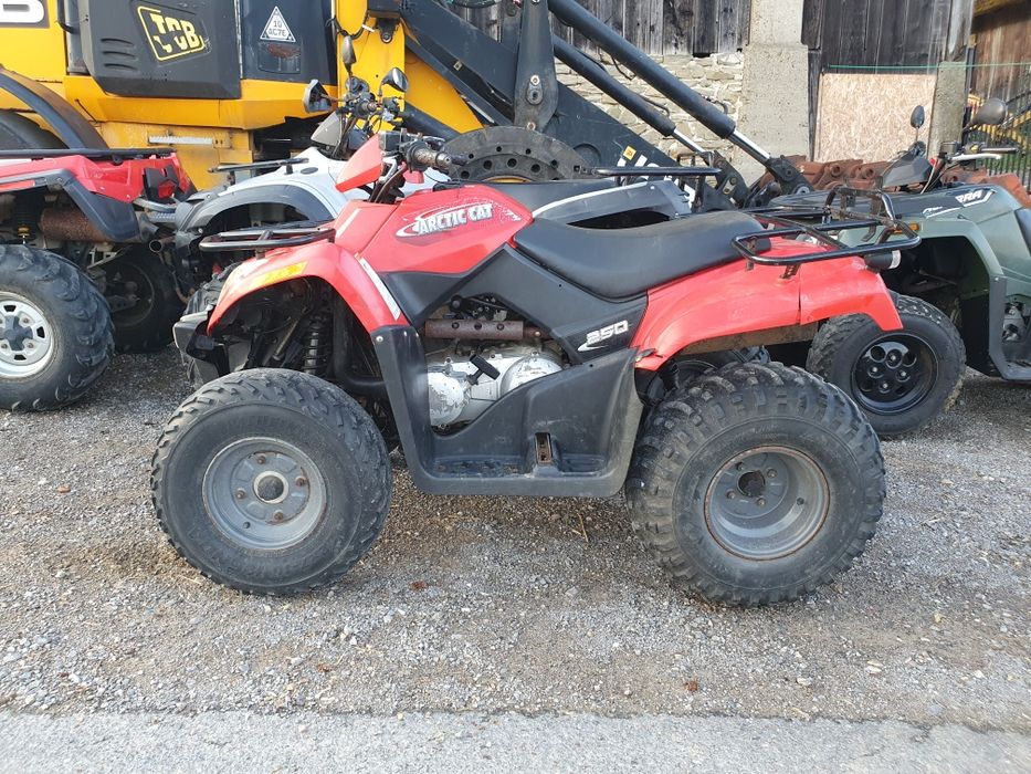 Arctic Cat