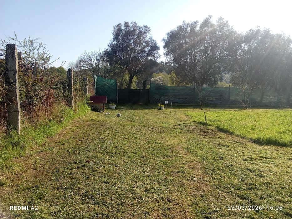 terreno pomar 3100 m2