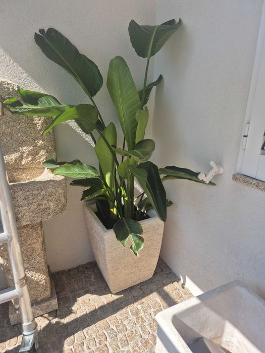 2 vasos pedra grandes