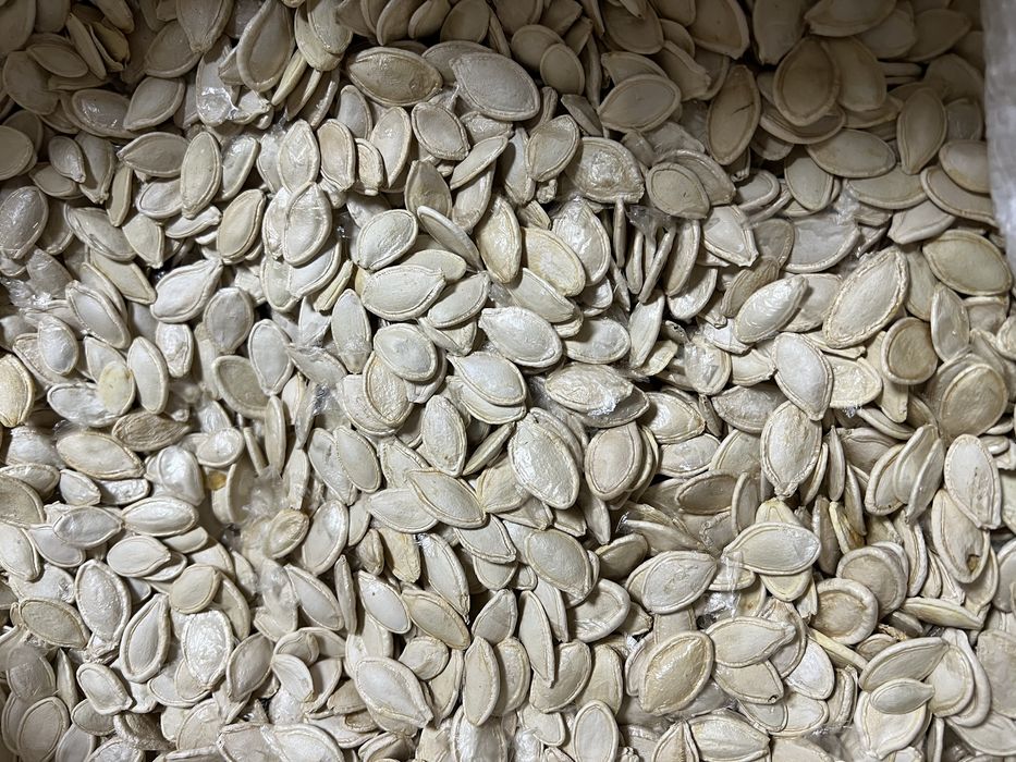 Гарбузове насіння (український багатоплідний)
