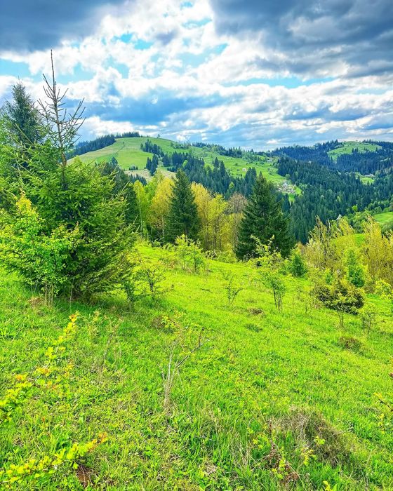 Продається земельна ділянка 94 сотики в Верховині присілок Пушкарі.