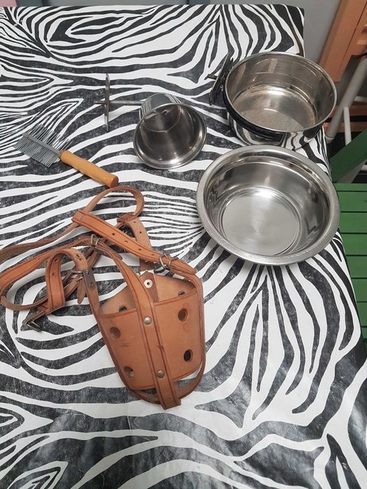 Açaime , pente e tigelas em inox