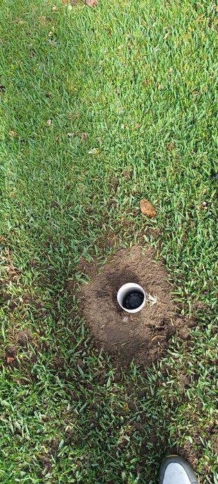 TerraFlor agora é 4 em 1, Jardim, construção e limpeza a partir 12€