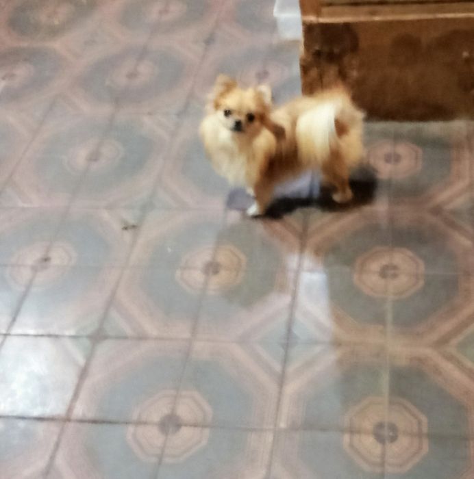 Мальчик и девочка