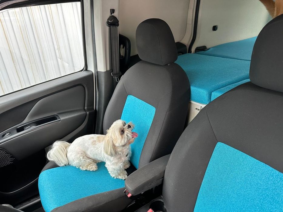 Dodge Promaster City (Fiat doblo)2015 года.
