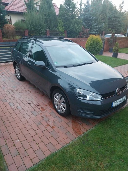 volkswagen golf 7, 4motion, 1,6 tdi, bezwypadkowy
