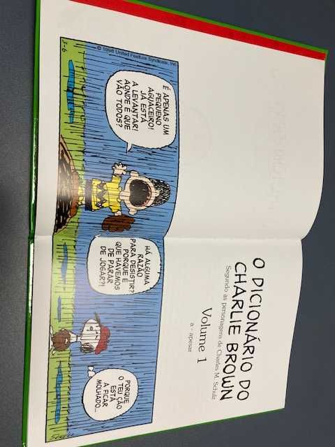 O dicionário português-inglês do Charlie Brown