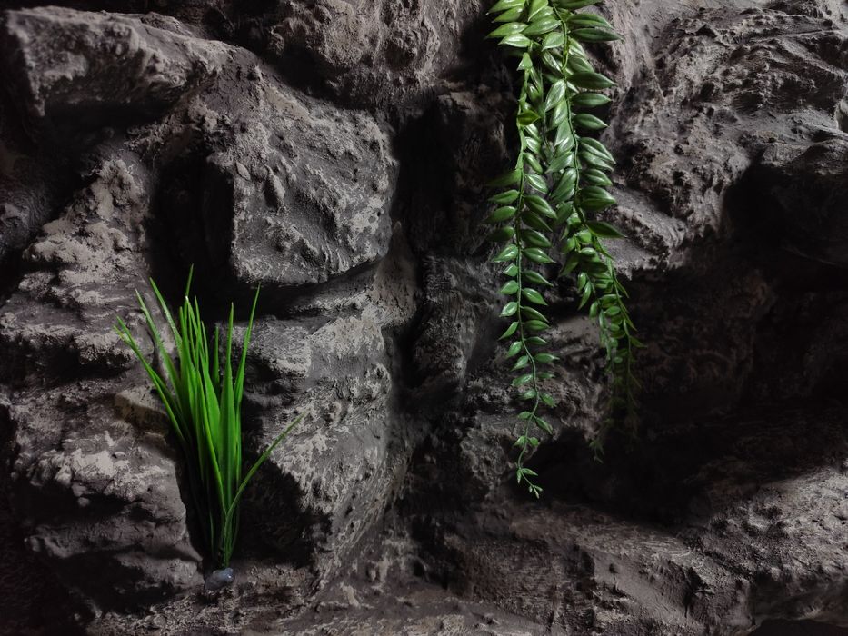 Nowe terrarium, dowolny wymiar, gekon, agama