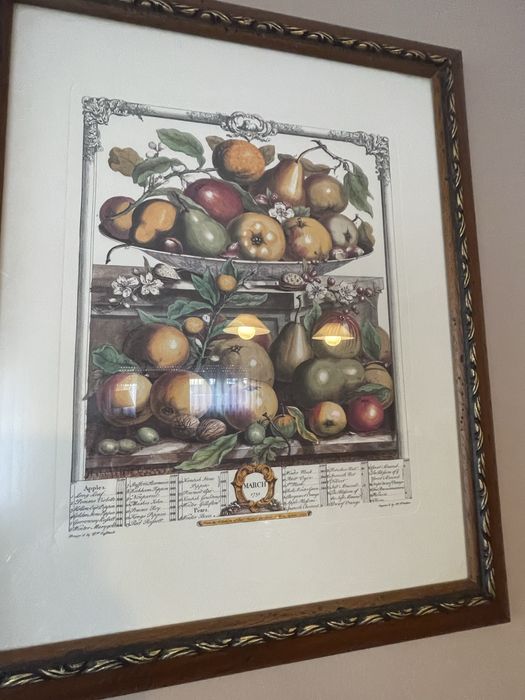 Collection Frames64739482379651121