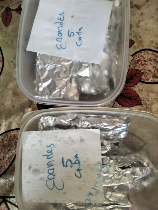 Lula de bico para pesca