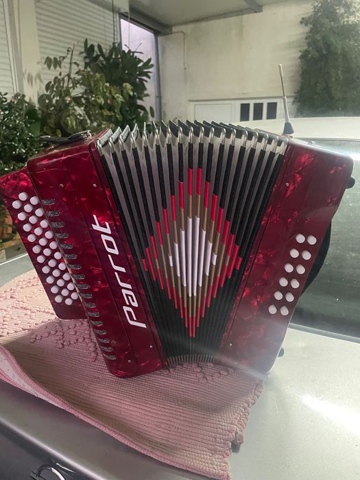 Vendo Concertina Nova