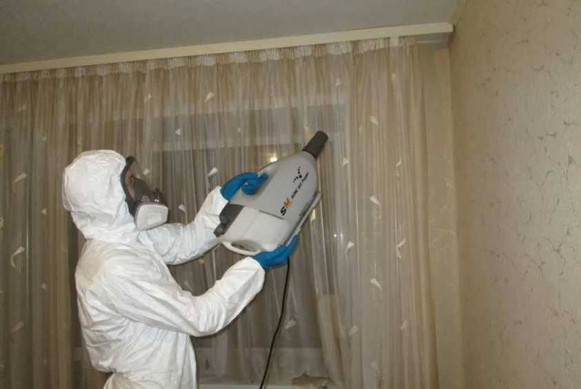 Борьба с крысами и мышами: дератизация, защита от повторного появления