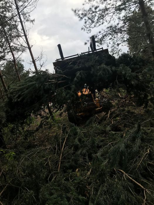 Wycinka drzew wyrywanie korzeni karp czyszczenie działek