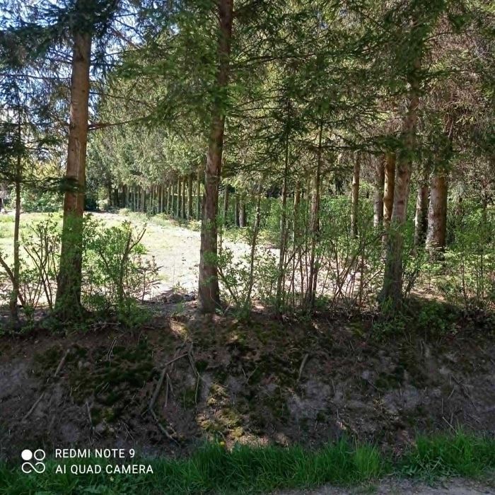 Działka budowlana - sprzedam! - Widok 3