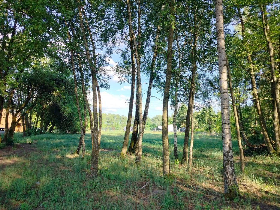 Działkę rekreacyjna nad jeziorem