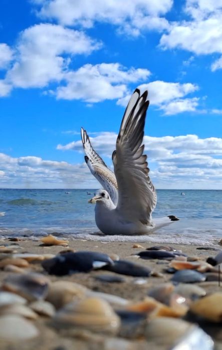 2-комнатная квартира по адресу ул. Приморская (площадь 73 м²) - Atlanta.ua - фото 13