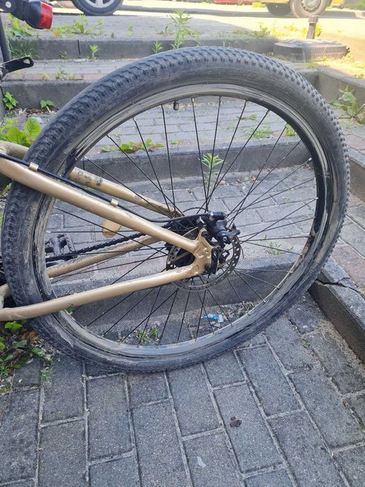 Rower Rambler R9L