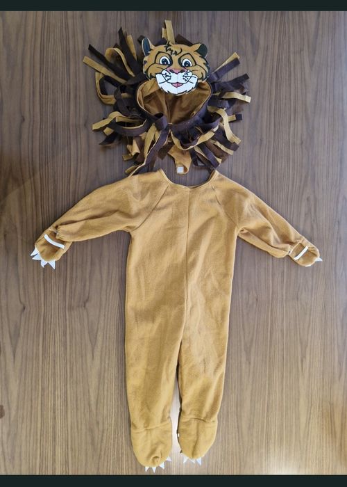 Fato leão_carnaval_halloween