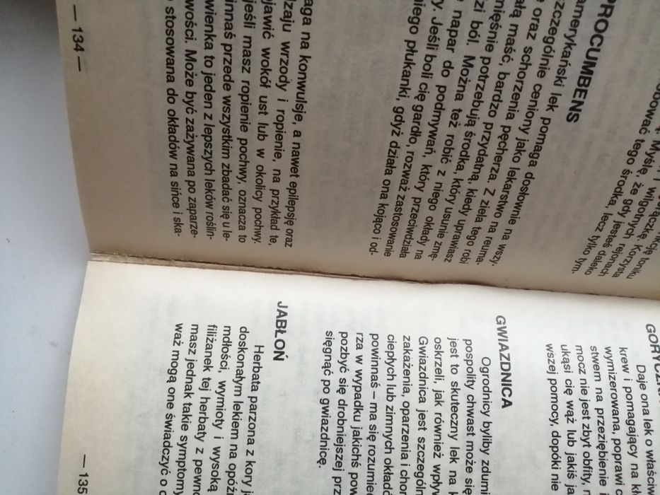 Nowoczesna czarownica - Sarah Lyddon Morrison