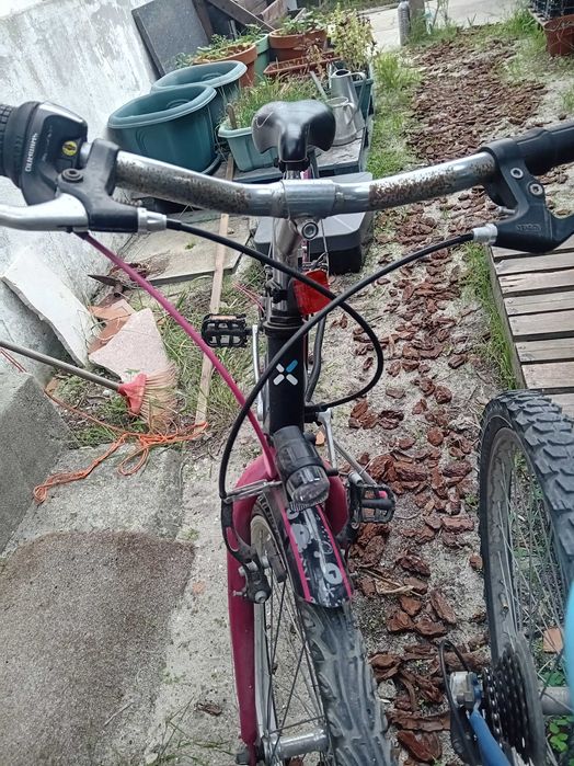 Bicicleta 2 por preço de 1