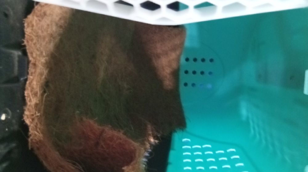 Transporter dla królika