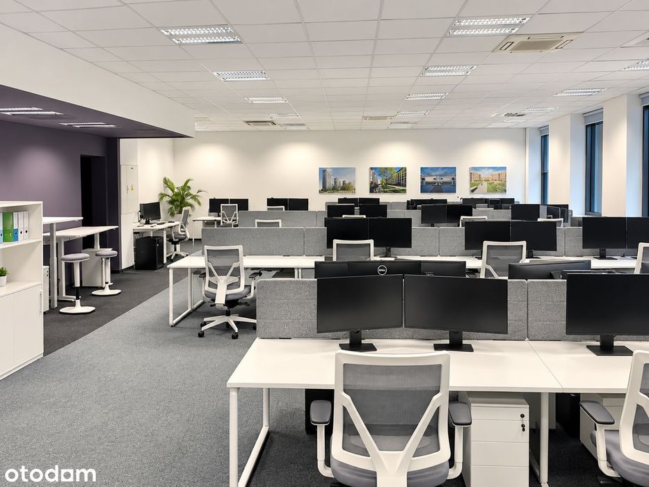 Przestronne biuro w centrum Wrocławia, 232,09 m2.