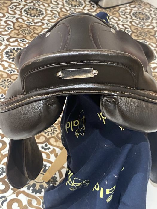 Sela Salto Zaldi New Star 17 1/2 Equitaçao