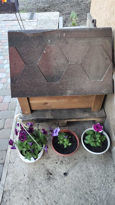 Будка для собаки