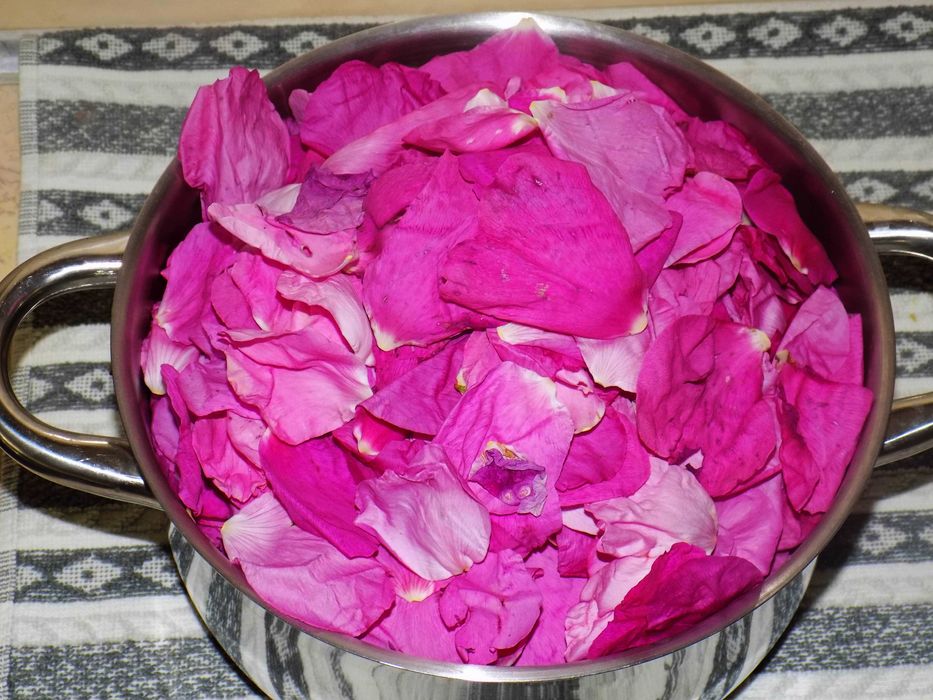 Naturalny syrop z płatków róży