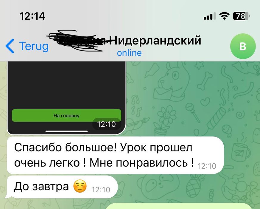 Репетитор по нидерландскому языку
