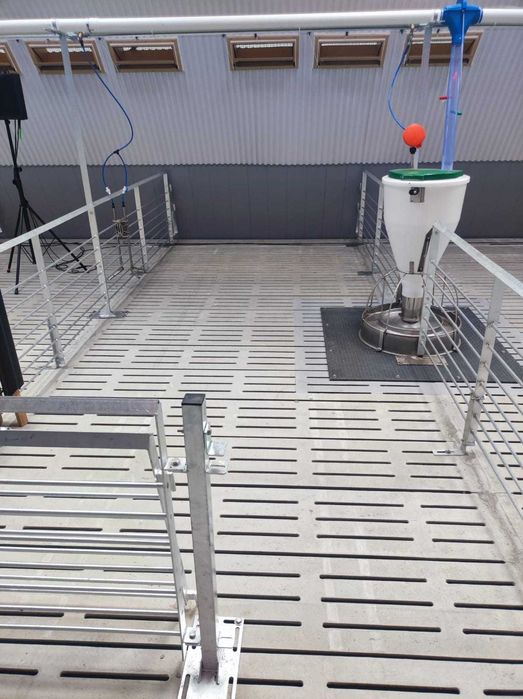 Ruszta betonowe dla bydła i trzody