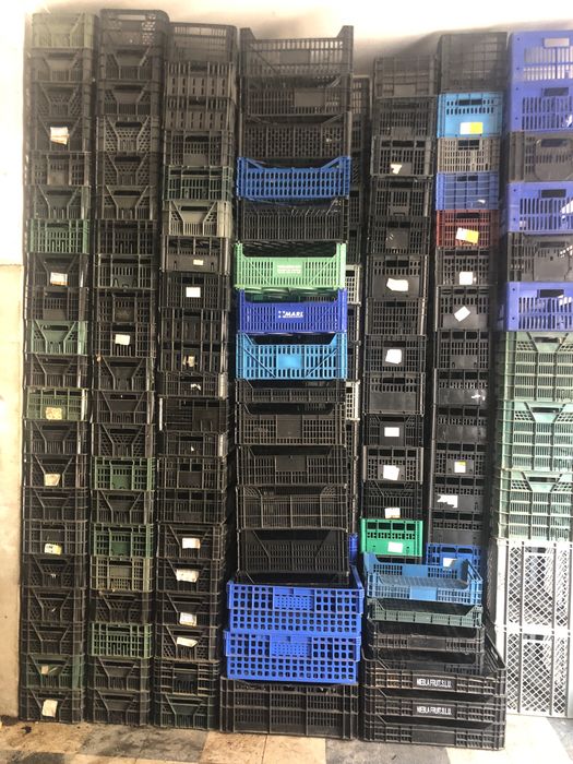 Caixas plasticas de varios tamanhos