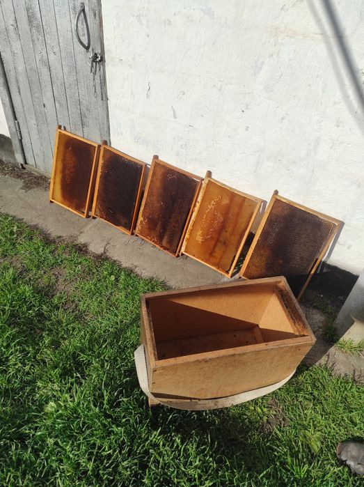 Продам суш, 300 рамка