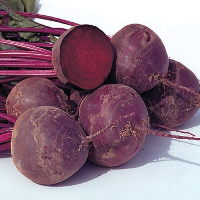 Насіння Буряка ВОДАН F1 WODAN F1 Семена Свеклы