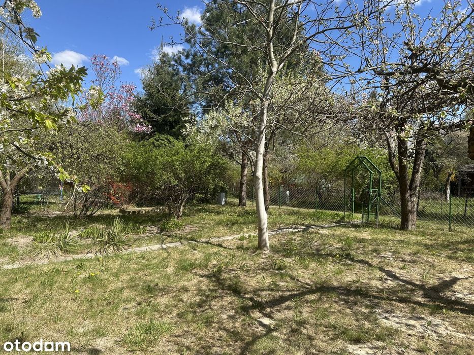 Klimatyczny ogród ROD na Górnym Mokotowie | 400 m² | starodrzew - Widok 5