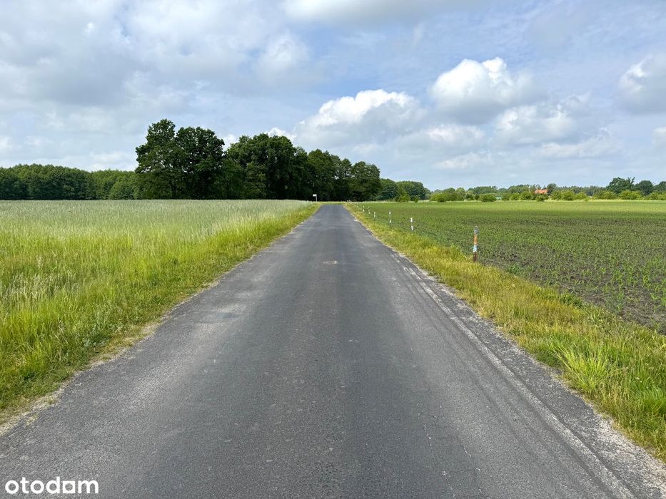 Gierłatowo - działki z planem zagospodarowania - Widok 5