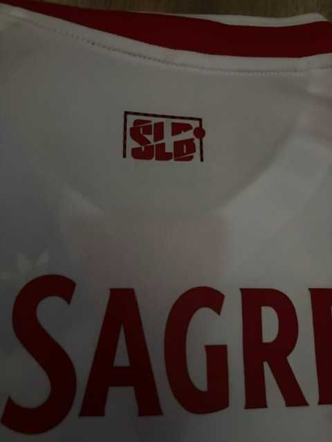 Camisola Benfica concept ja com portes