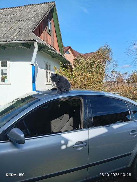 Пасат в дуже хорошому стані не крашений.1.6 бензин