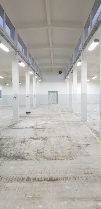 Hala - 433,49 m2 + 2 biura + pom. socjalne + toalety- wolne od 02/2026