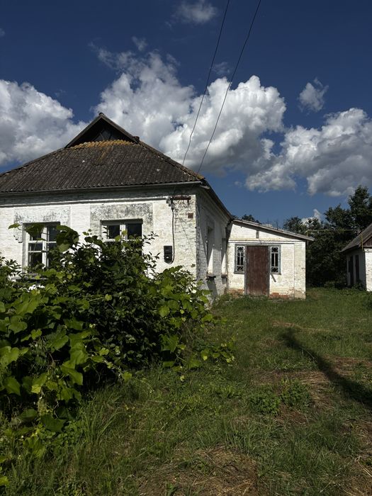 Продам хату в селі з господарськими будівлями та земельною ділянкою