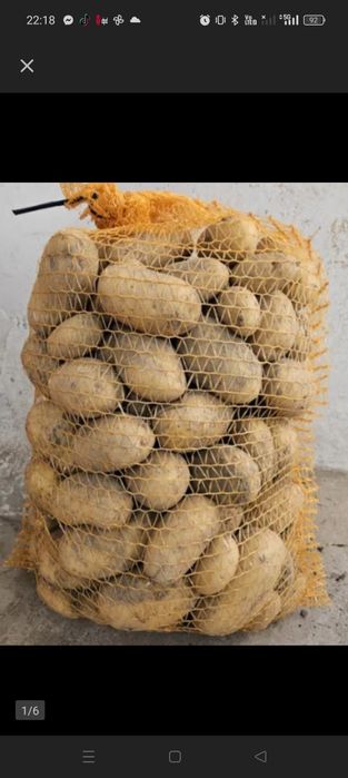 Ziemniaki winieta/Quin anna